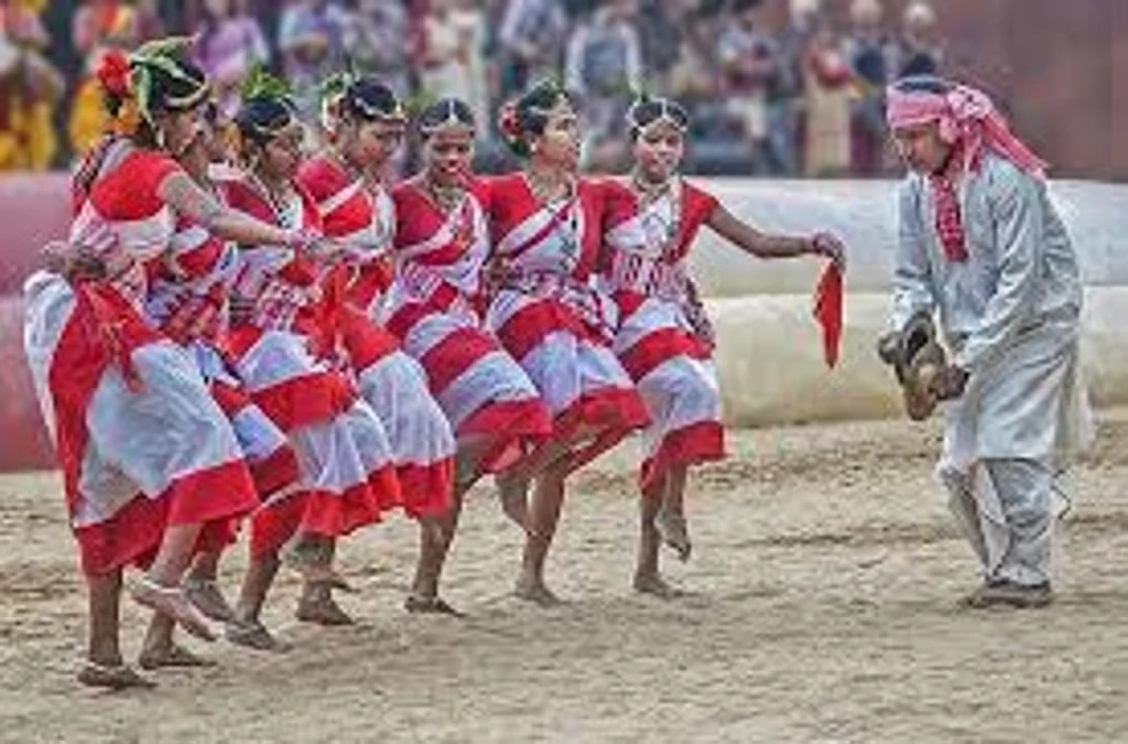 Assam: Over 7,000 Dancers to Perform Jhumur at Sarusajai, Eyeing World Record