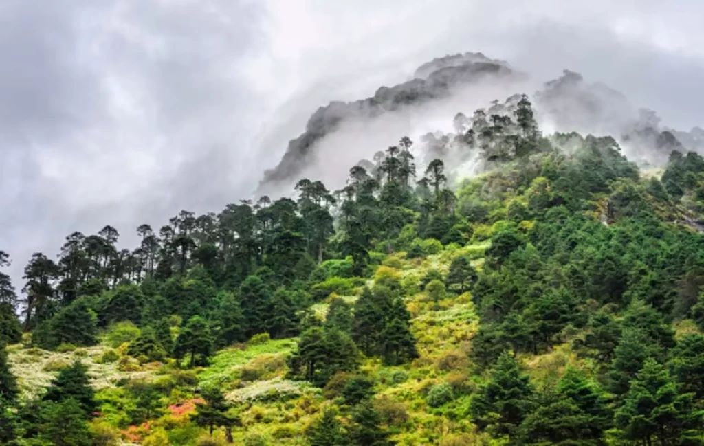 Arunachal Pradesh has lost 549 square kilometres of forest cover between 2021 and 2023, with the total forest area now at 65,881.57 sq km, according to the India State of Forest Report (ISFR) 2023.