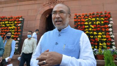 Manipur’s Chief Minister Biren Singh Says 4.8 Hectares of Illegal Poppy Growing Were Eliminated